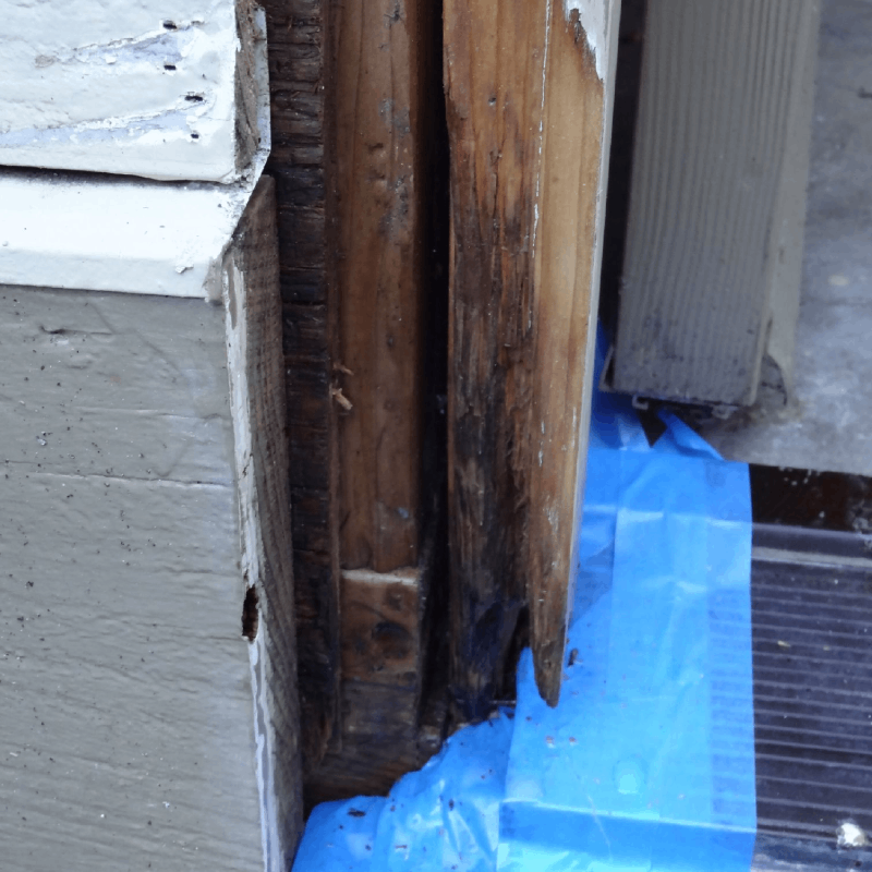 Rotted wood that needs to be removed